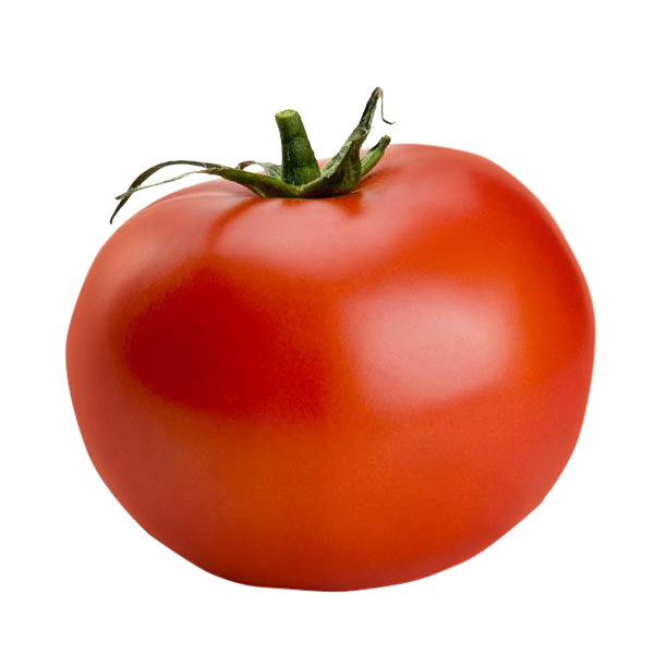 Tomato, free Tomato png, Tomato png image, Tomato transparent png image, Tomato png full hd images download